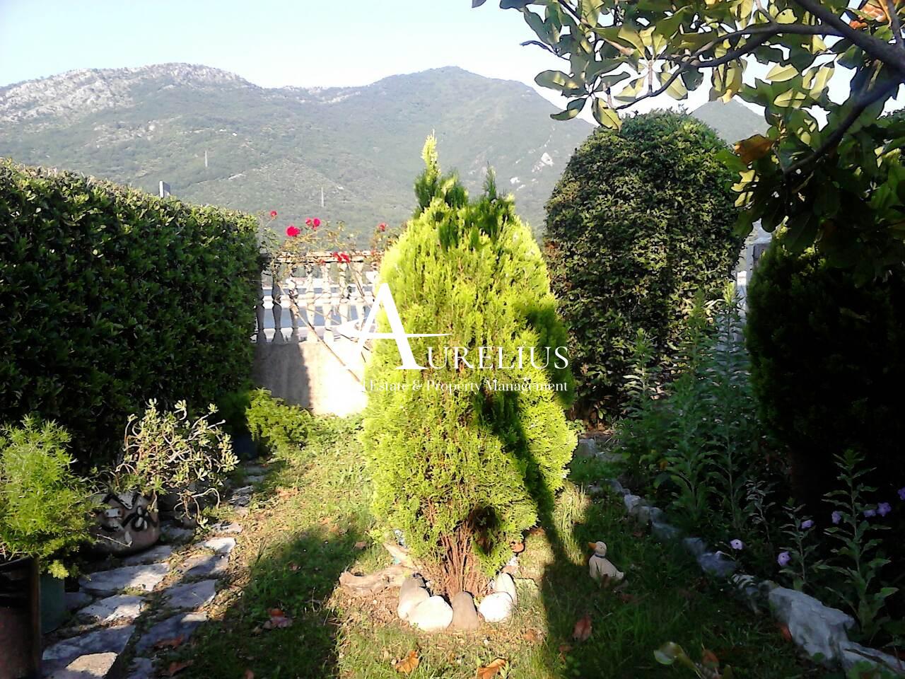 IMG-21e59c95cd6bcbe087c08300e533b719-V