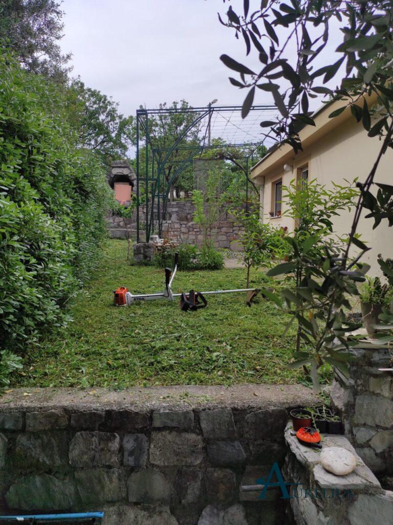 IMG-1b2becc3291ff44d8eef03108ee3bfe9-V