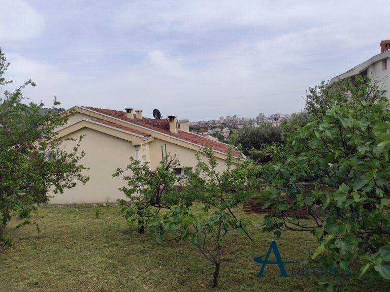 IMG-378e6f062191ee23310a51cae5b31a56-V